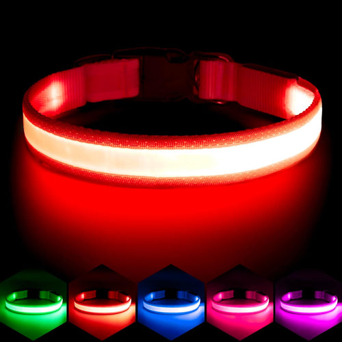 Light Up Your Pup's Night with  LED Dog Collar! 🐶✨ Adjustable, USB Rechargeable, and Super Bright Safety Glow - Perfect for Small Dogs in Red! 🌟 #DogLovers #PetSafety
